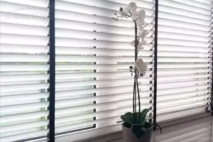 Large horizontal blind with white aluminum slats and a flower on the windowsill